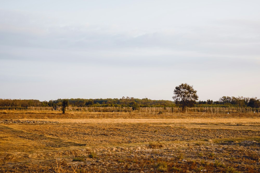 How to Prepare Your Land for a Home + Land Package